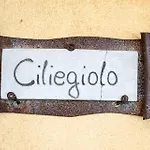 팜스테이 Poggio Delle Conche