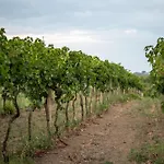 팜스테이 Poggio Delle Conche