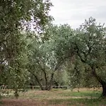 Poggio Delle Conche *